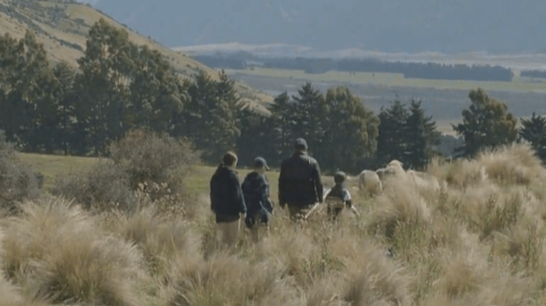 Taking New Zealand knitwear to the world - Hemprino