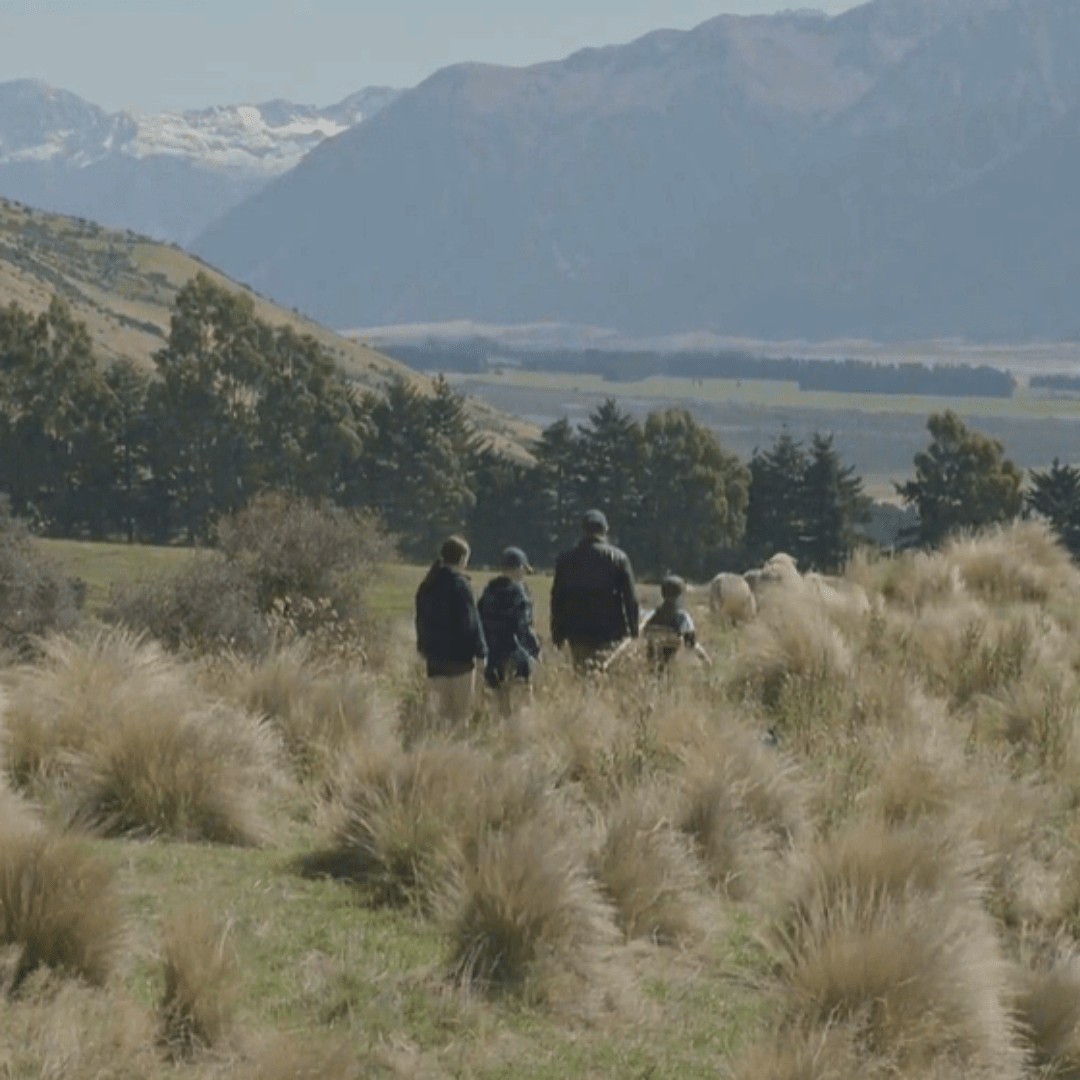 Taking New Zealand knitwear to the world - Hemprino